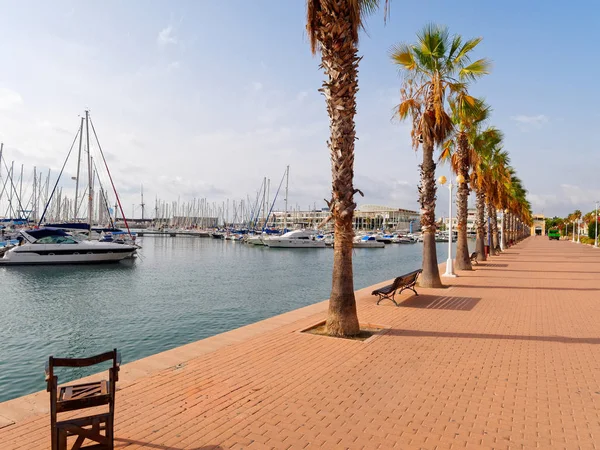 Hermoso paseo marítimo en Alicante. Vista de palmeras y puerto. España — Foto de Stock