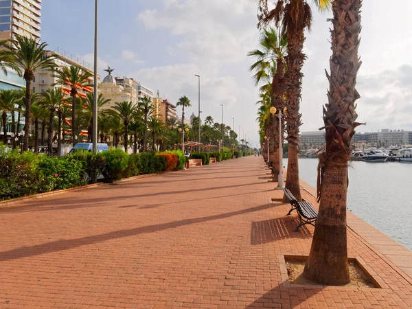 Hermoso paseo marítimo en Alicante. Vista de palmeras y puerto. España . — Foto de Stock