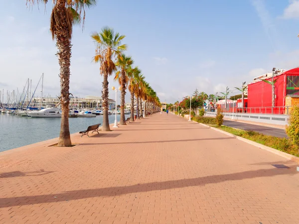 Hermoso paseo marítimo en Alicante. Vista de palmeras y puerto. España . — Foto de Stock
