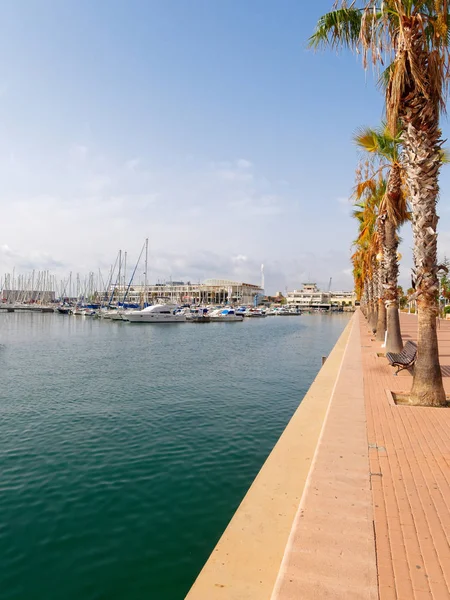 Hermoso paseo marítimo en Alicante. Vista de palmeras y puerto . — Foto de Stock