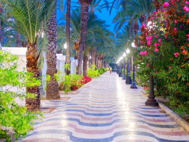 Palmiye ağaçları ile güzel sokak - Explanada de Espana. Alicante. İspanya
