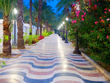 Palmiye ağaçları ile güzel sokak - Explanada de Espana. Alicante. İspanya