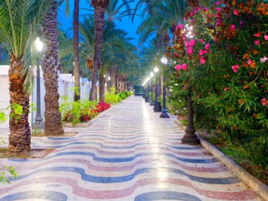 Palmiye ağaçları ile güzel sokak - Explanada de Espana. Alicante. İspanya