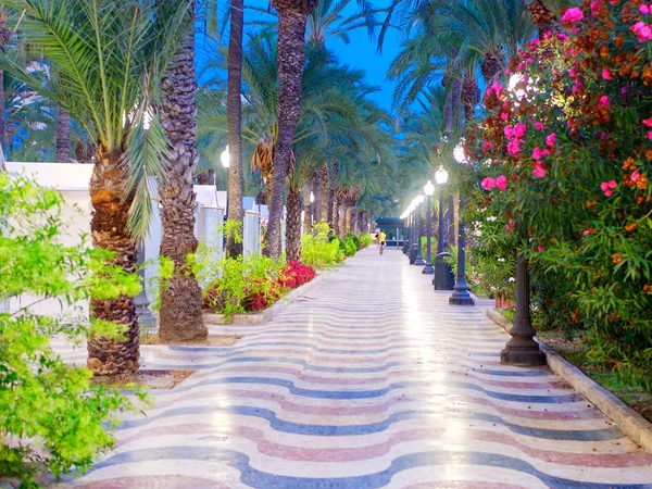 Belle ruelle avec palmiers - Explanada de Espana. Alicante. Espagne Photo De Stock