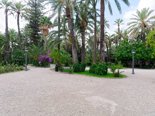 Un hermoso jardín en un palmeral en Elche, España . — Foto de Stock