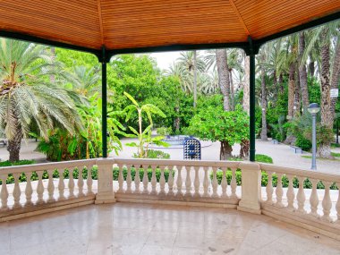 Elche, İspanya'da bir palmiye bahçesinde güzel bir bahçe.