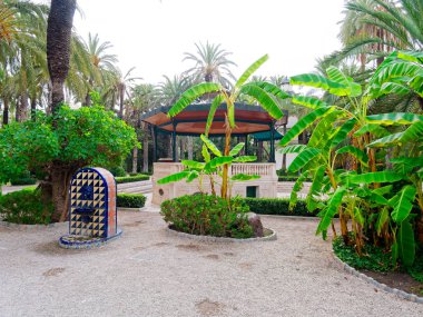 Elche, İspanya'da bir palmiye bahçesinde güzel bir bahçe.