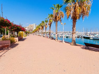 Alicante liman ve deniz boyunca güzel gezinti.