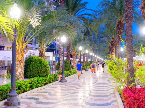 Alicante, Espagne - 09.03.2018. Belle ruelle de palmiers la nuit dans le centre d'Alicante. Explanada de Espana. Espagne Images De Stock Libres De Droits