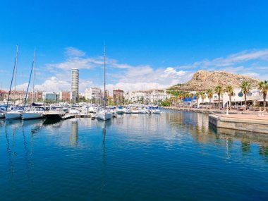 Alicante palmiye ağaçları ile güzel gezinti. İspanya