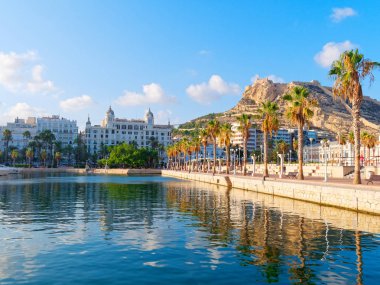 Alicante palmiye ağaçları ile güzel gezinti. İspanya