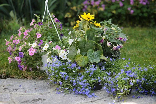 Pots Flowers Ready Planting — Stock Photo, Image