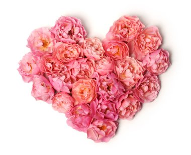 beyaz üzerine pembe küçük gül kalbinde