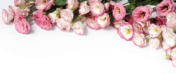 Bordure Fleurs Roses Sur Fond Blanc — Photo