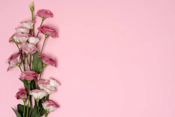 Μπουκέτο Από Όμορφα Ροζ Λουλούδια — Φωτογραφία Αρχείου