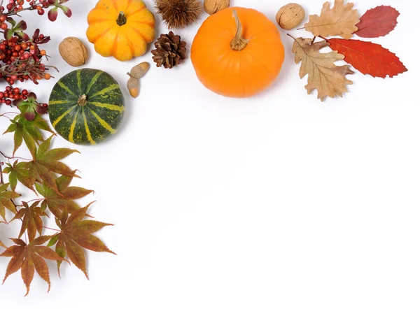 Frame Small Pumpkins Nuts Leaves — Stock Photo, Image