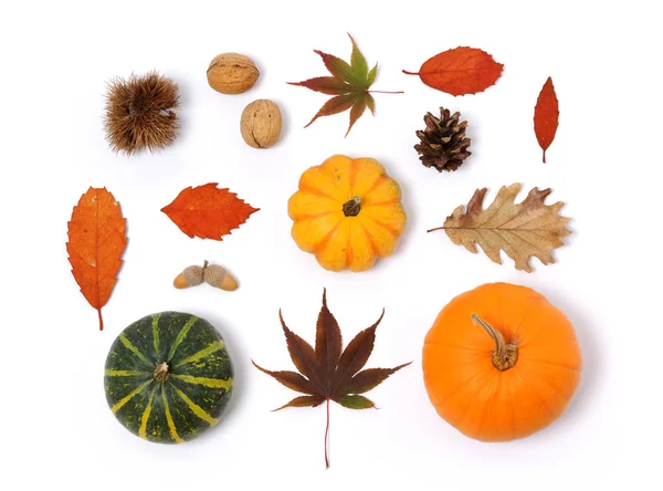 Anordnung Herbstlicher Gegenstände Auf Weißem Hintergrund — Stockfoto