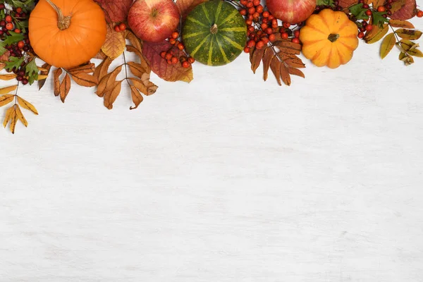 秋季水果和蔬菜框架白色木背景 — 图库照片