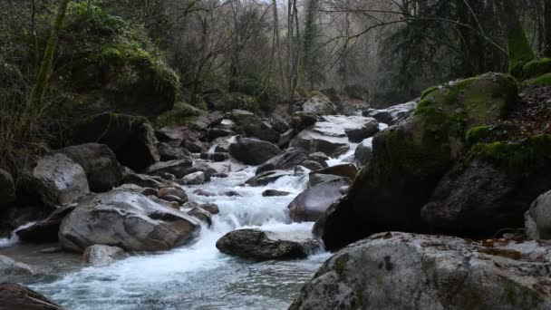 Bellissimo Fiume Montagna — Video Stock