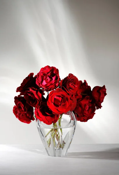 Vase Belles Roses Rouges — Photo