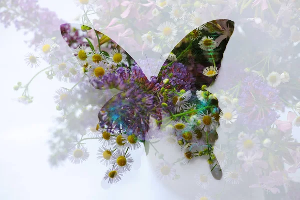 Abstract floral butterfly — Stock Photo, Image