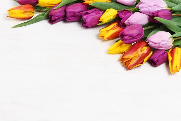 다채로운 튤립 — 스톡 사진