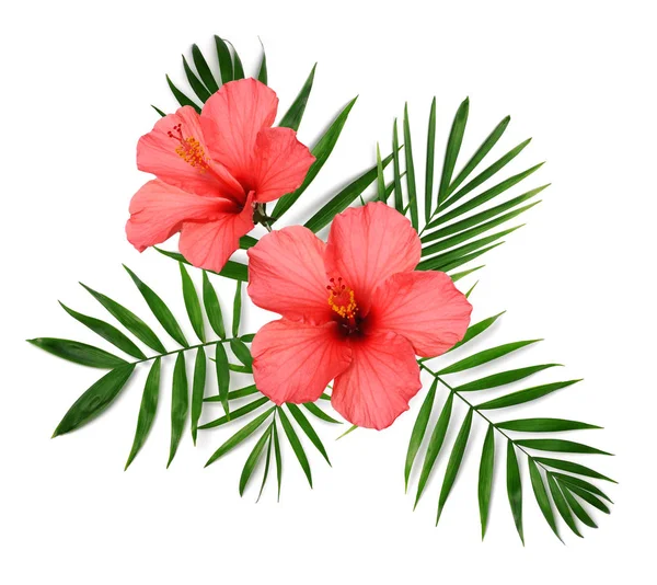 Composição floral tropical — Fotografia de Stock