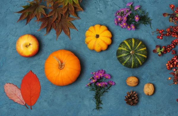 Herbstkollektion — Stockfoto