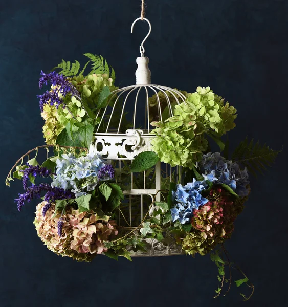 Çiçek süslemeli kuş kafesi — Stok fotoğraf