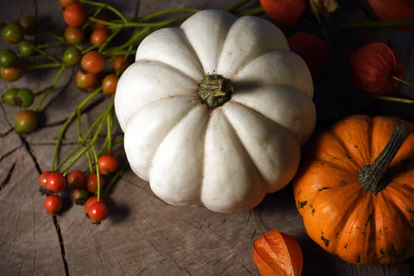 Kürbisse mit herbstlichen Beeren — Stockfoto