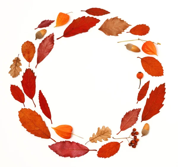 Осенний венок — стоковое фото