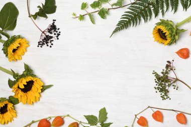 Beyaz arka planda ayçiçeği ve orman bitkilerinin çerçevesi