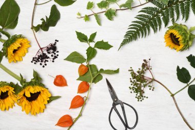 Kırsal ayçiçekleri, orman bitkileri ve makas düzenleme