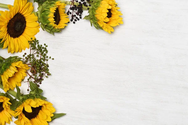 Frame of sunflowers on white background
