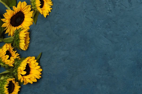 Rahmen Von Sonnenblumen Auf Blauem Hintergrund — Stockfoto