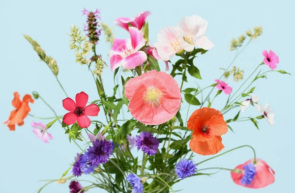 Beautiful Wildflowers Bouquet Blue Background — Stock Photo, Image