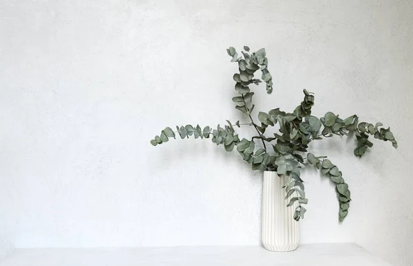Váza Eukaliptusz Gallyak Szürke Fal Háttér — Stock Fotó
