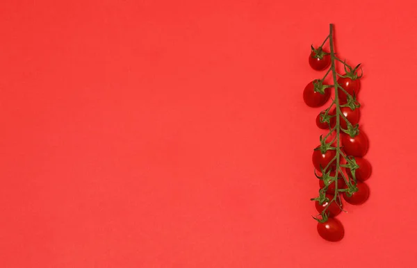 Ramo Tomates Cereja Fundo Vermelho — Fotografia de Stock