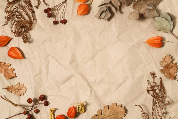 褐色纸背景上的自生叶子和浆果 — 图库照片