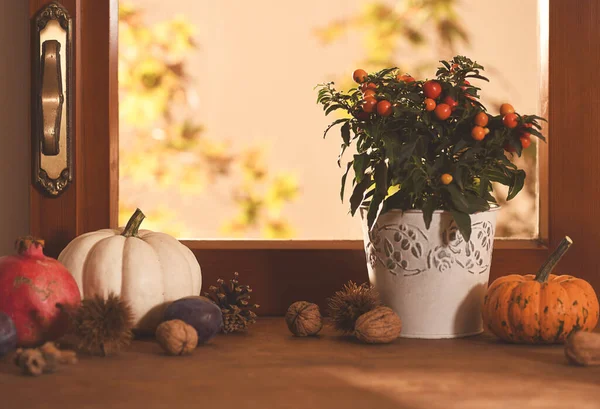Herbstliche Komposition Von Gemüse Obst Nüssen Und Beeren Auf Fensterhintergrund — Stockfoto