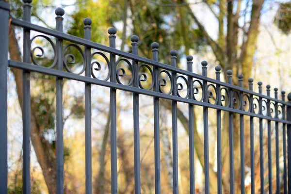 Prachtige Decoratieve Gegoten Metalen Omheining Met Kunstzinnig Smeden Ijzeren Vangrail — Stockfoto