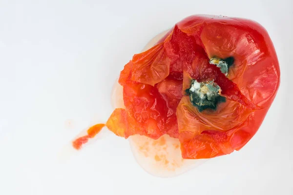 Rotten Tomato Spoiled Fungi Mold White Background Inappropriate Storage Vegetables — Stock Photo, Image