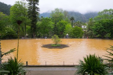 San Miguel, Portekiz-Mayıs 11, 2019: Parque Terra Nostra termal göl. Azores