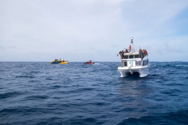 San Miguel, Portekiz - 15 Mayıs 2019: Turistler balina ve yunusların gezisini izlerken motorlu teknede.