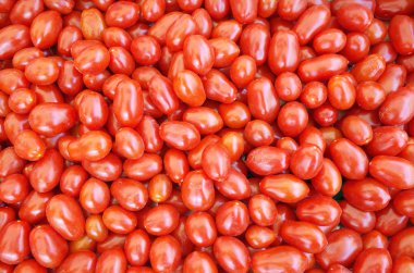 Üst görünüm canlı kırmızı kiraz domates yakın.                                          