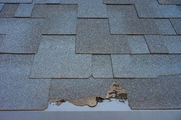 View of bitumen shingles roof damage that needs repair.