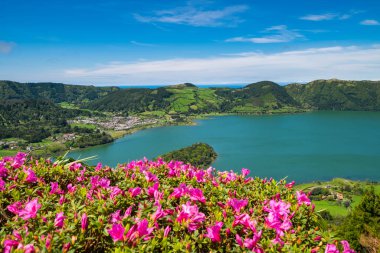 Arka plan gölüne pembe çiçeklerin güzel görünümü. Azores, Sao Miguel, Portekiz