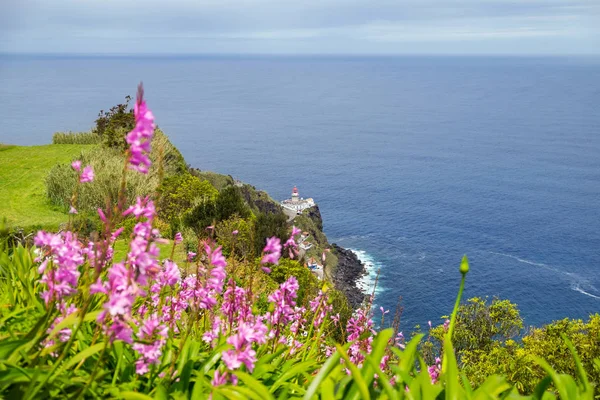 View of pink flowers to background lighthouse and the ocean from a cliff in the city of Nordeste, Azores, Portugal