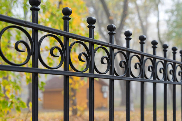 Image of a Beautiful decorative cast iron wrought fence with artistic forging. Metal guardrail close up.