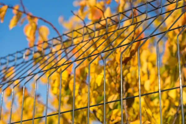 Stahlgitterzaun Mit Draht Auf Blauem Himmelshintergrund — Stockfoto